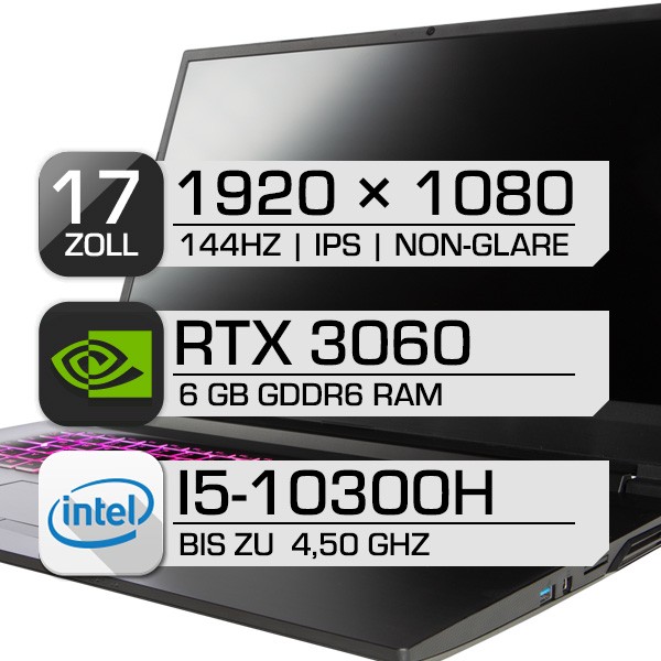 17,3 Zoll Gamingnotebook i5-10300H RTX3060 - 16GB - 512GB SSD
